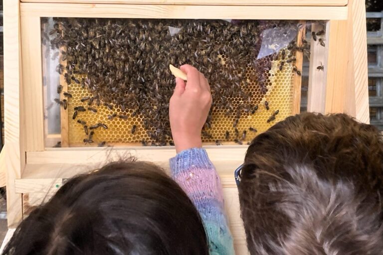 Safeguarding children at Bee Inspired Eco Education