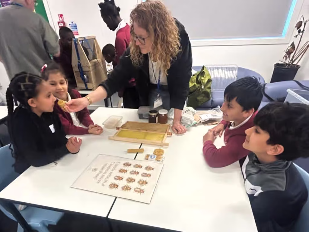 Exploring and learning about the properties of beeswax